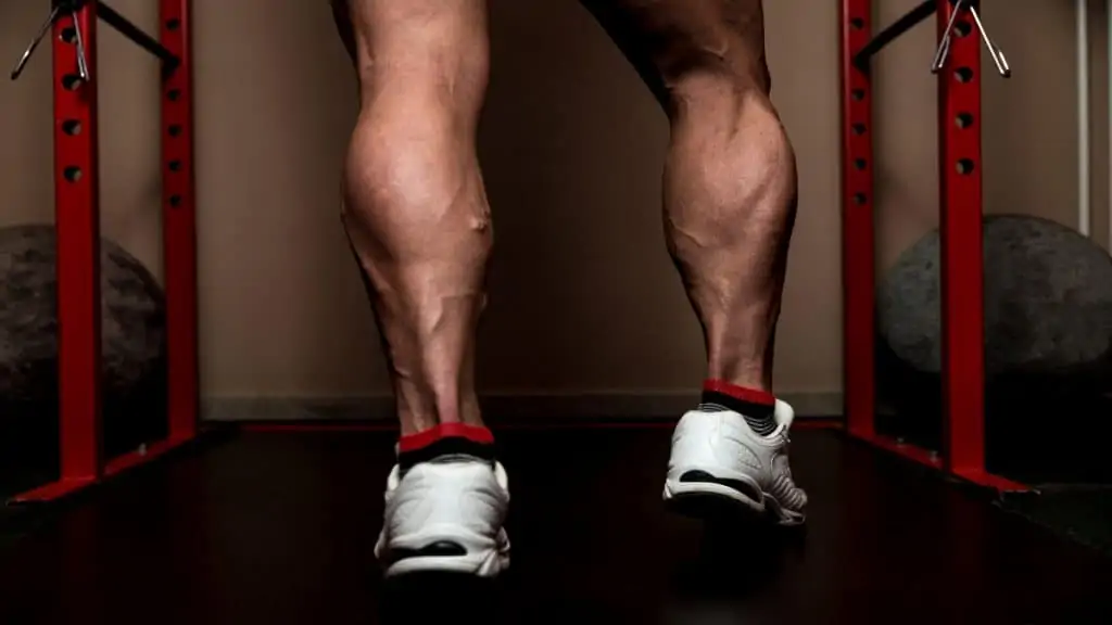 Close up of a man's big 19 inch calves