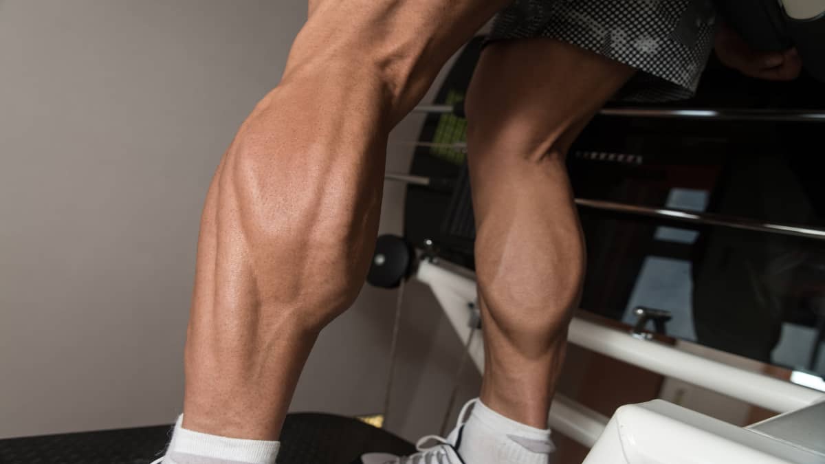 Do you have the genetics to build 19 inch calves?