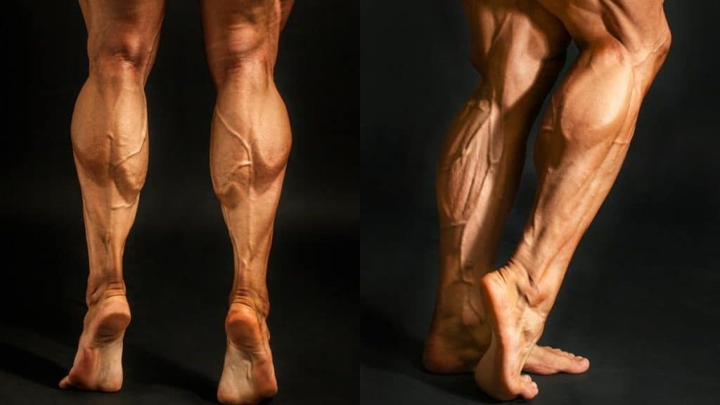 A bodybuilder flexing his 19.5 inch calves