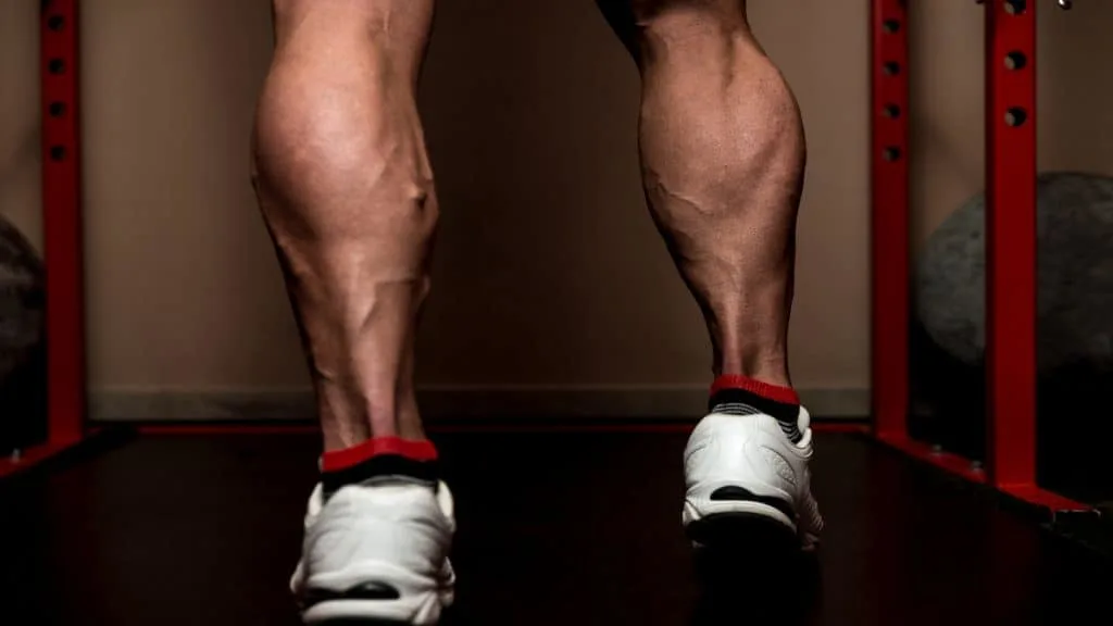 Close up of a bodybuilder's 21 inch calves