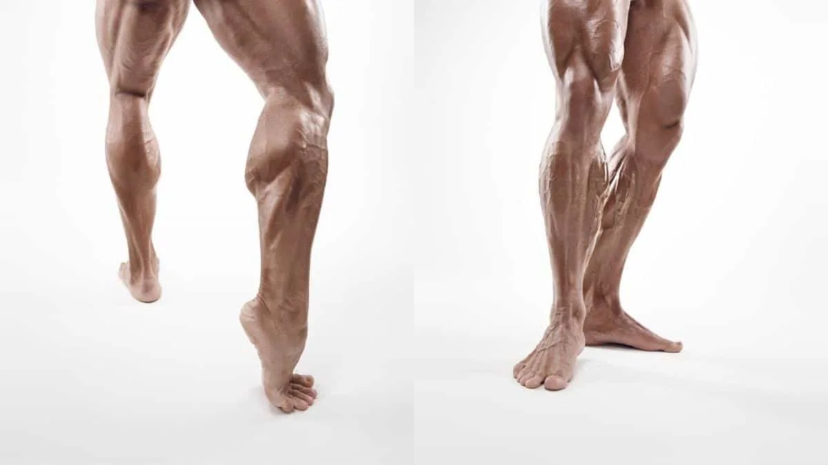 A bodybuilder flexing his 22 inch calves