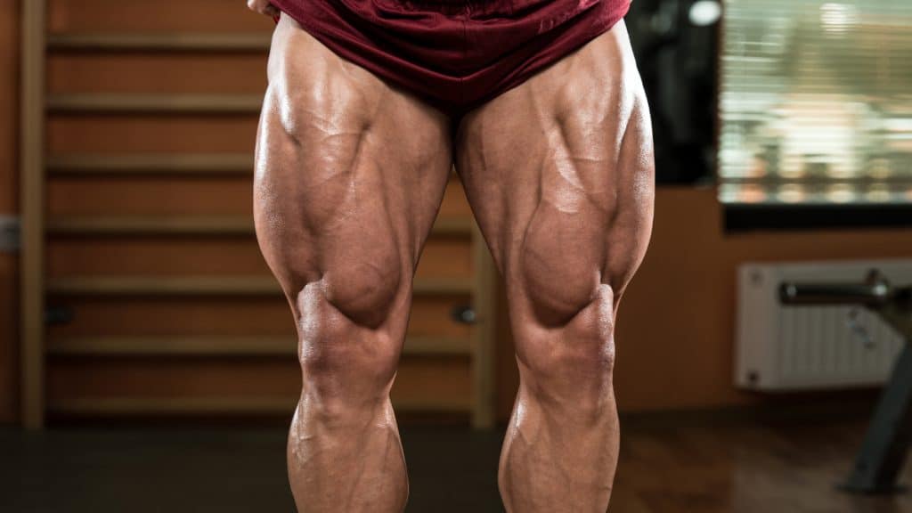 A bodybuilder flexing his 28 inch thighs