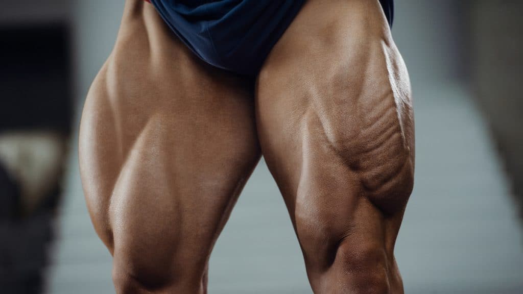 The 32 inch quads of a bodybuilder