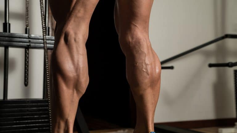 18 inch calf