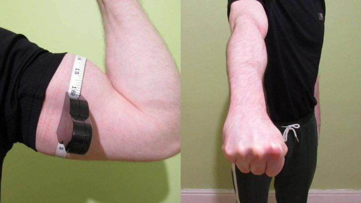 Got big biceps but small forearms?