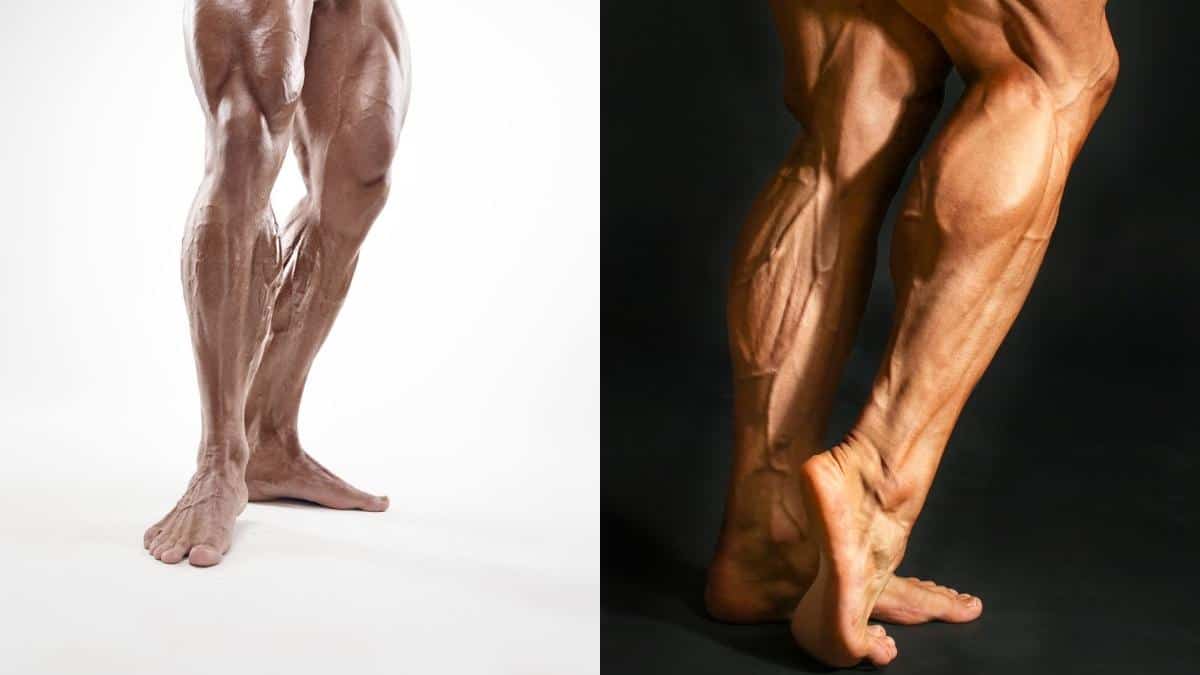 Who has the biggest calves in the world and the best calves in bodybuilding history?