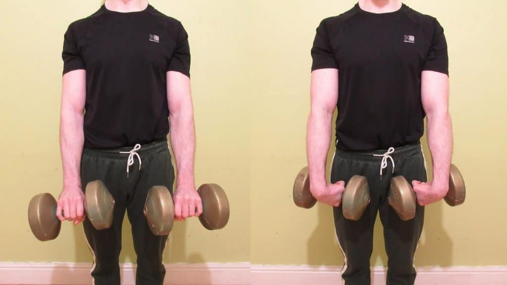 A weight lifter doing dumbbell standing forearm curls
