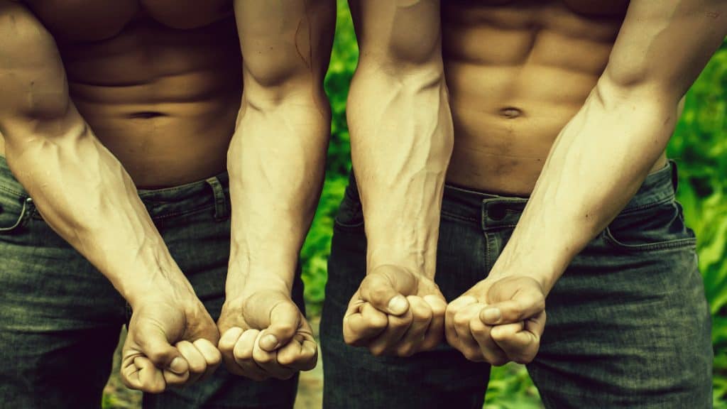 Two vascular men showing their prominent forearm veins