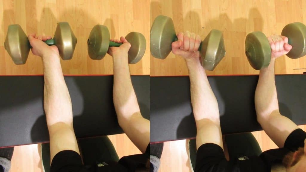 How To Do Dumbbell Wrist Curls for Your Forearms