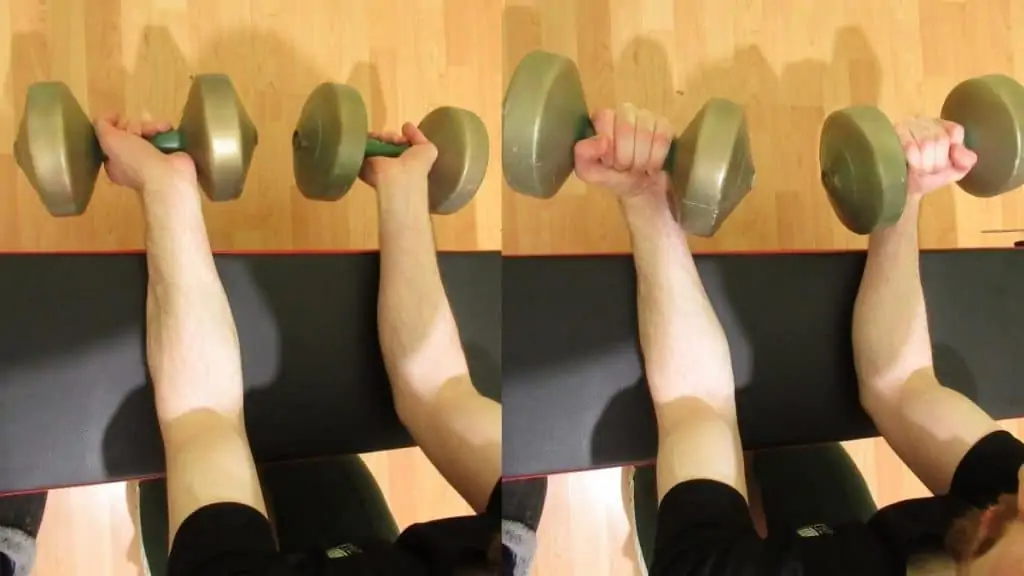 A man demonstrating how to do wrist curls for your forearms (using dumbbells) with the proper form