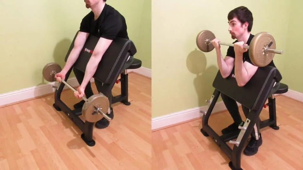 A weight lifter performing some preacher barbell curls for his biceps