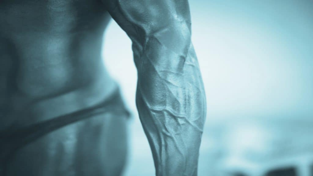 A shredded bodybuilder's ripped forearms