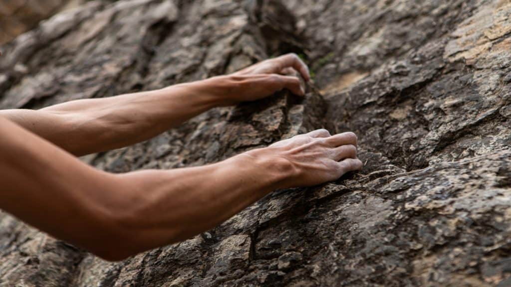 A rock climber's forearms