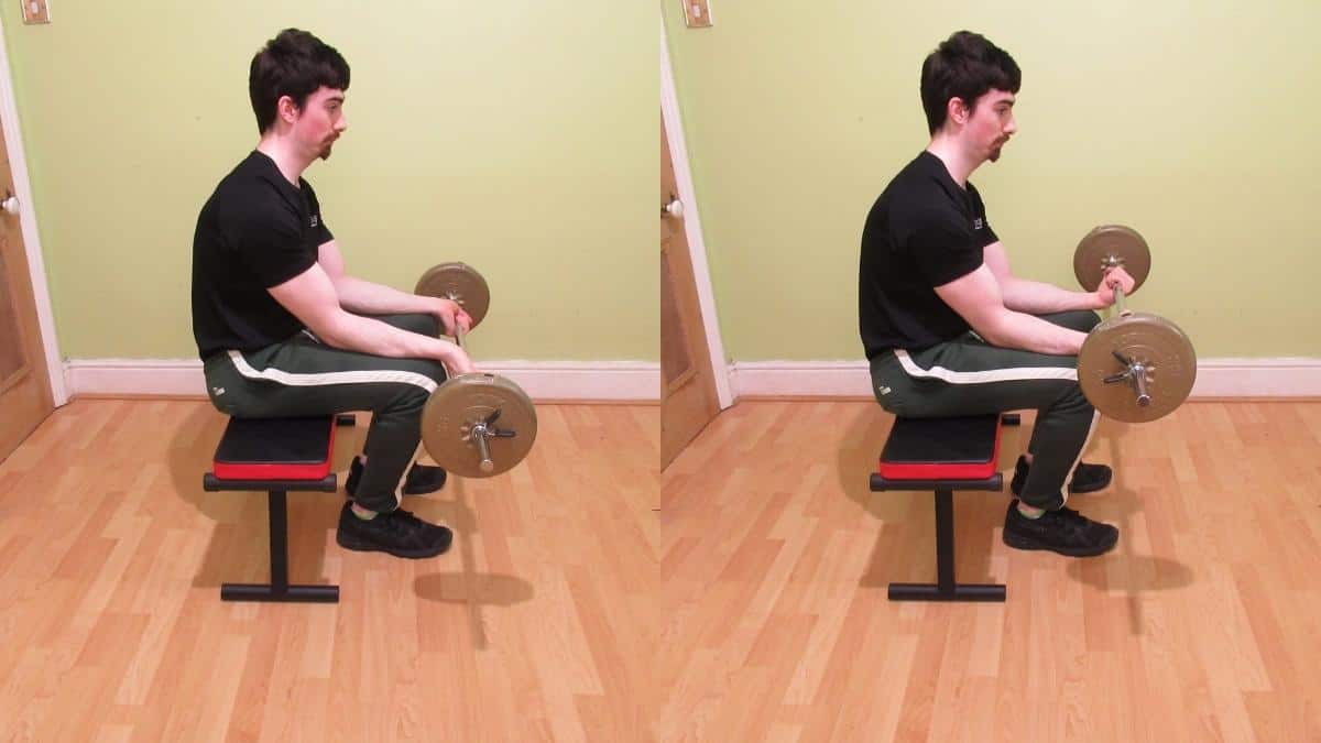 Seated Barbell wrist curl technique, benefits, and pitfalls