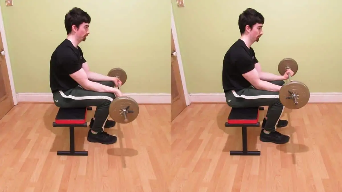 A weight lifter doing a seated barbell wrist curl to work his forearms