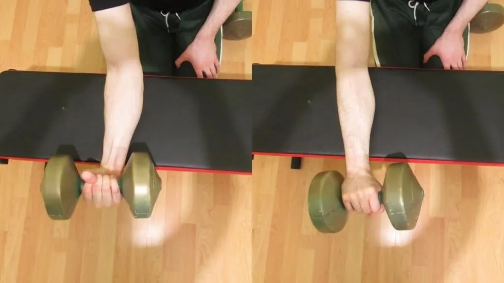 A man doing a single arm dumbbell wrist curl