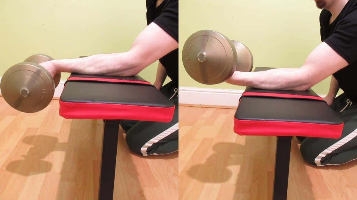 A man doing a single dumbbell wrist curl for his forearms