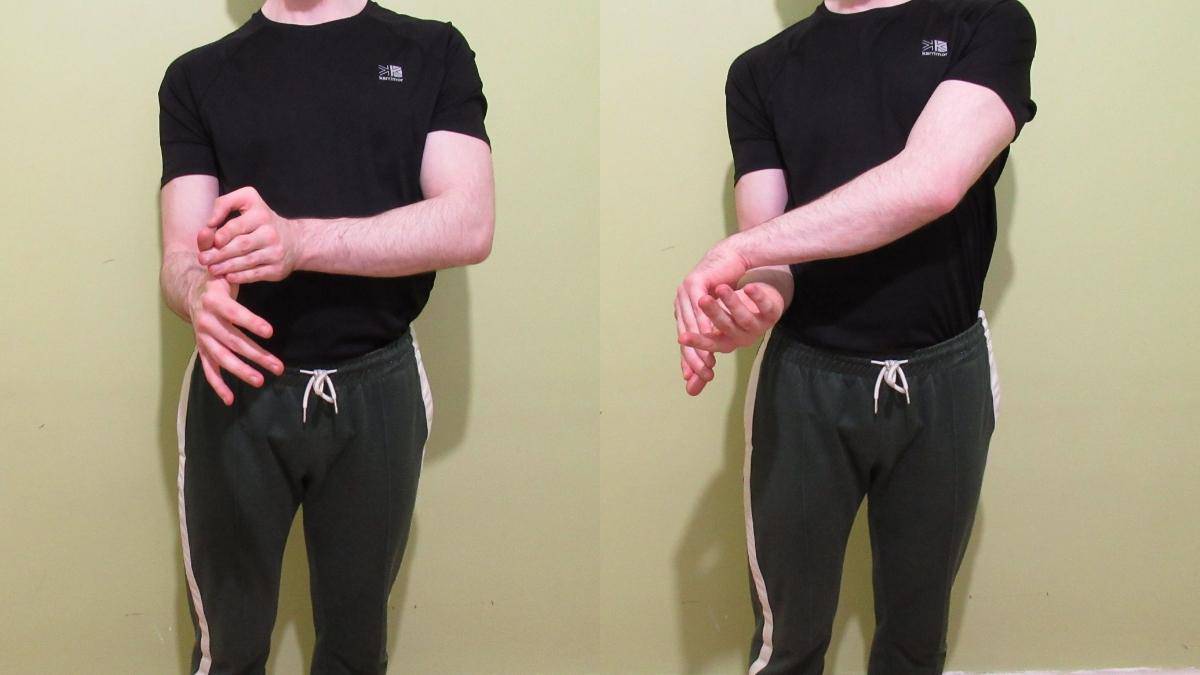 Supination Stretches for Your Forearms (Top 5)