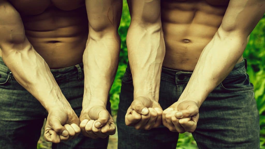 Two muscular men showing their thick forearms