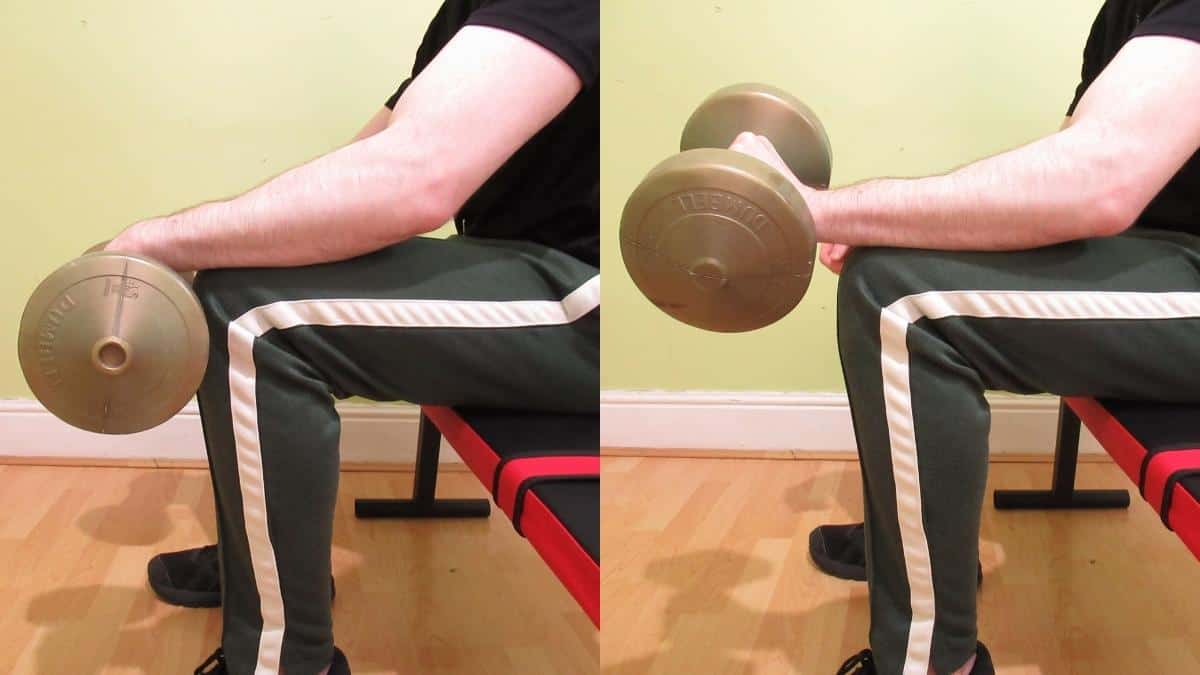 Dumbbell Wrist Extension Correct Form And Benefits