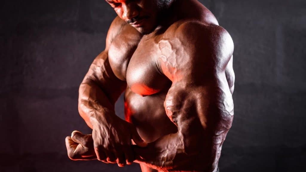 A man who clearly has some of the best triceps in bodybuilding history (arguably the the biggest triceps in the world)