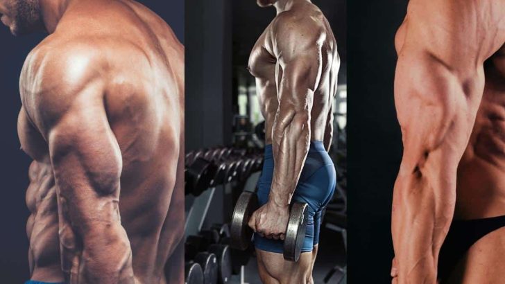 Got big triceps but small biceps? These fixes will help