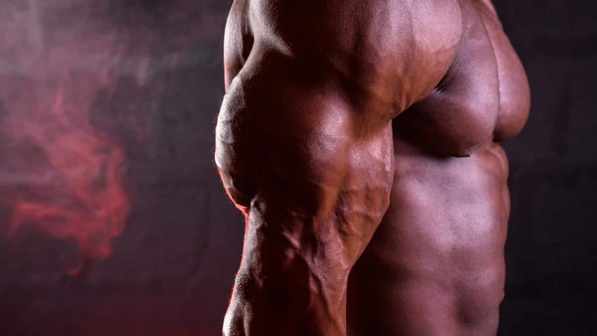 The biggest and best triceps in bodybuilding history revealed