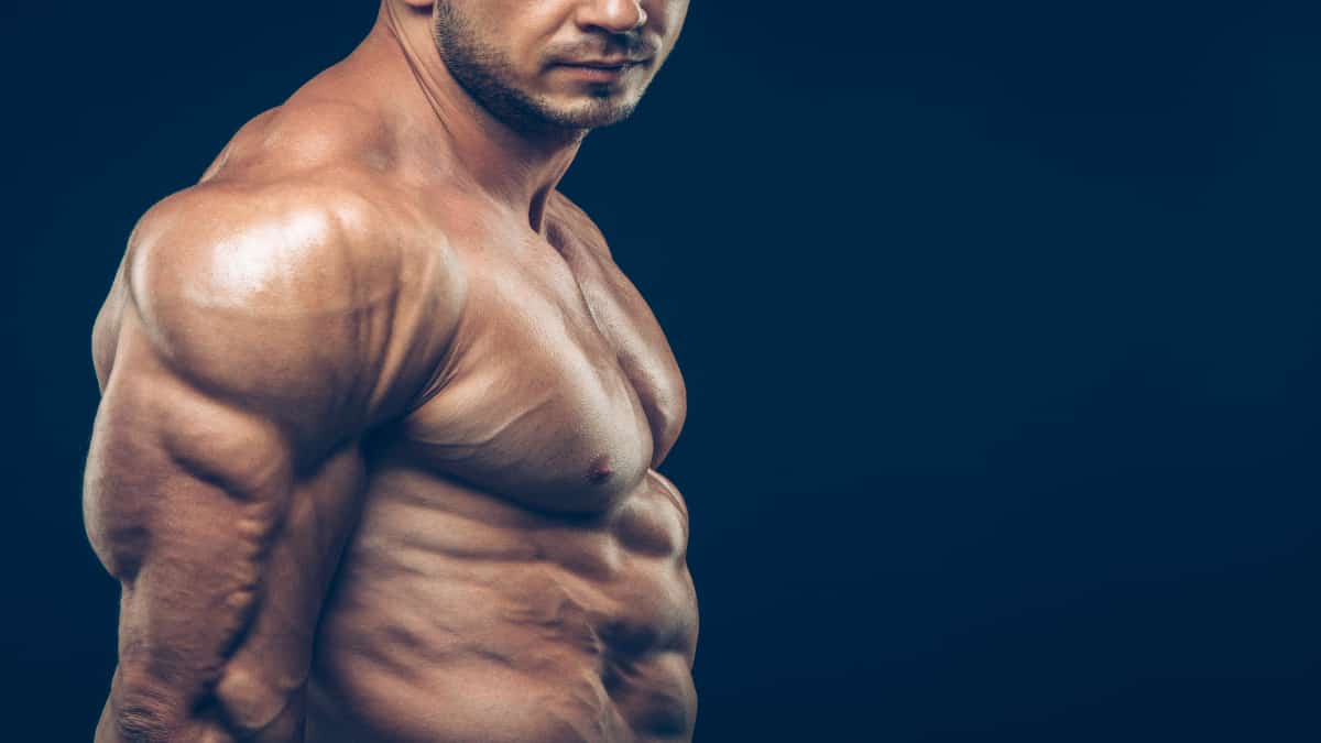 How to get horseshoe tricep muscles