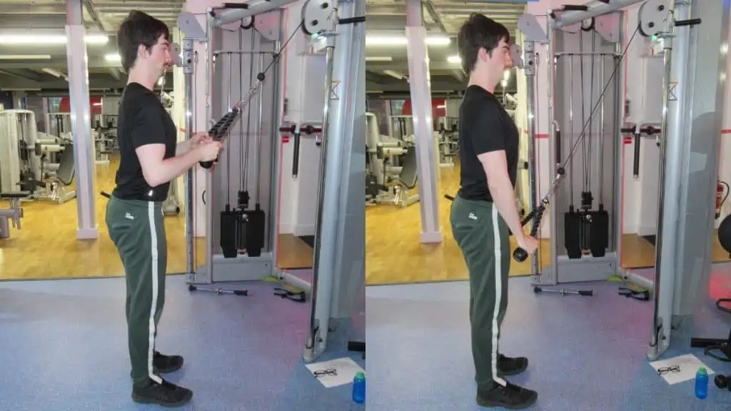 A man using some tricep workout equipment at the gym