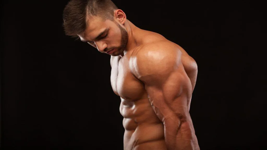 A bodybuilder with excellent triceps definition