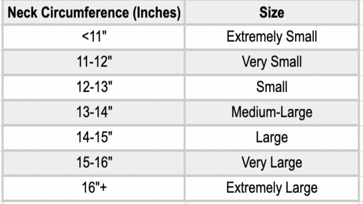 Average Neck Size and Circumference for Men and Women
