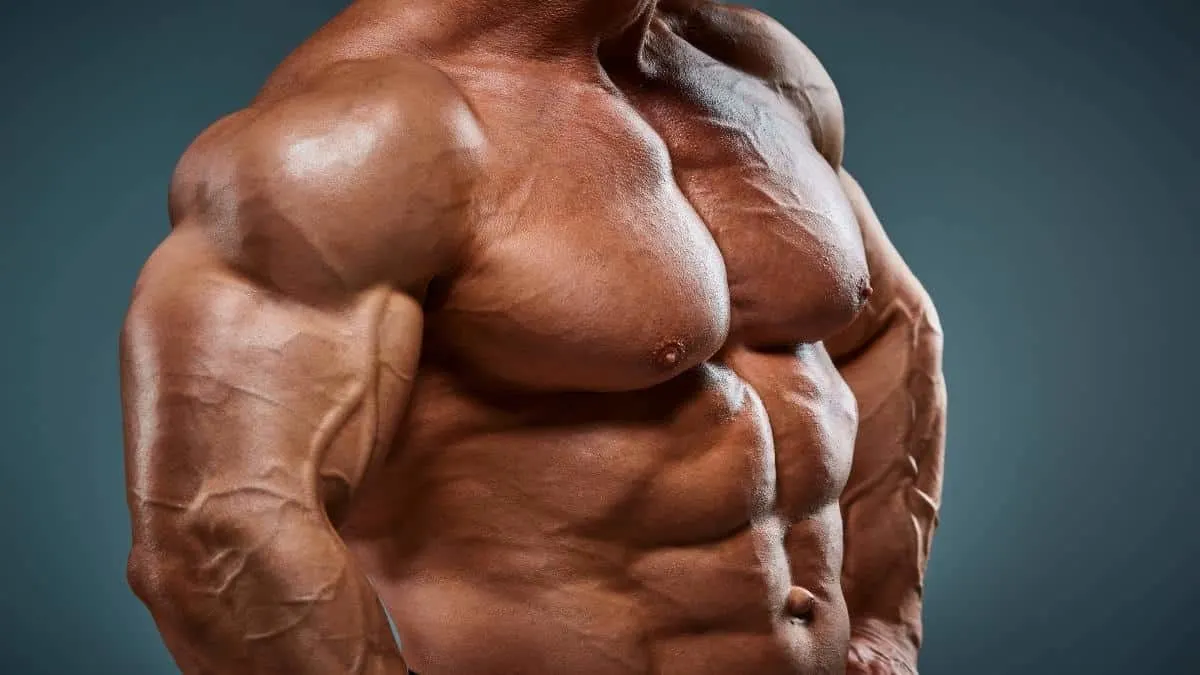 Side view of a bodybuilder's big 52 inch chest