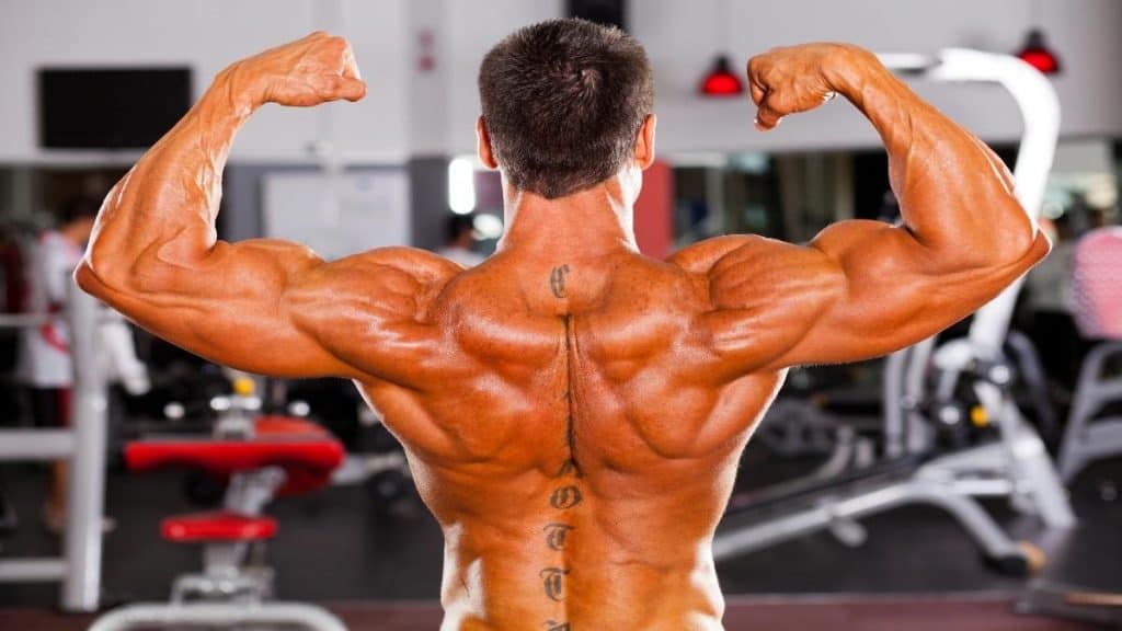 A muscular man showing that he has the best rear delts in bodybuilding