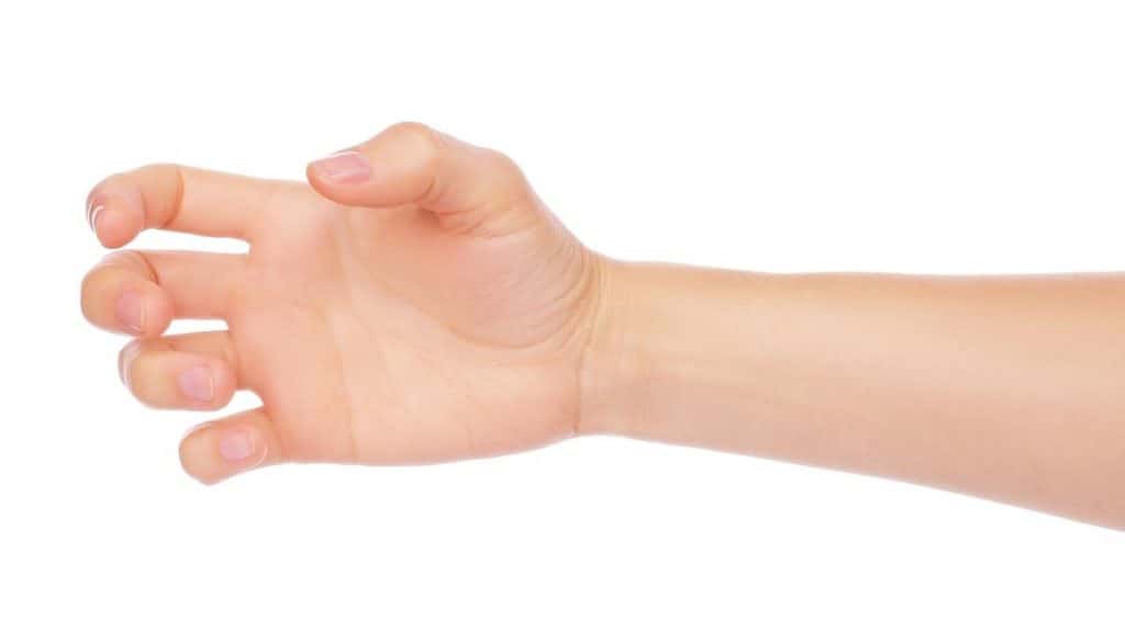 A person's 3 inch wrists