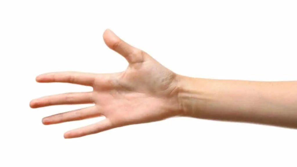 A female showing her 4 inch wrist