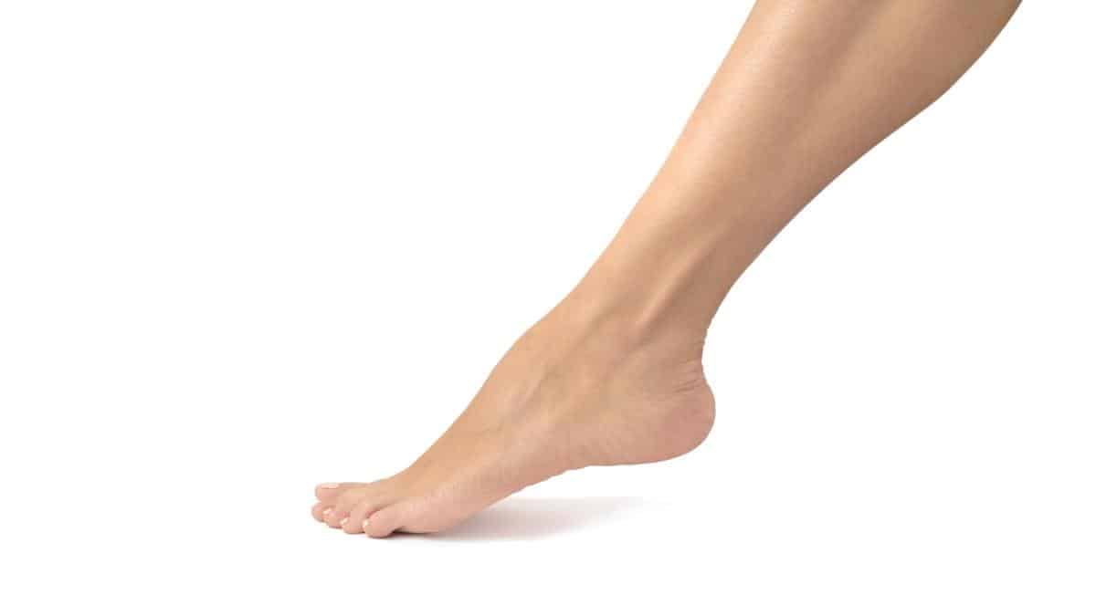 The 7 inch ankles of a woman