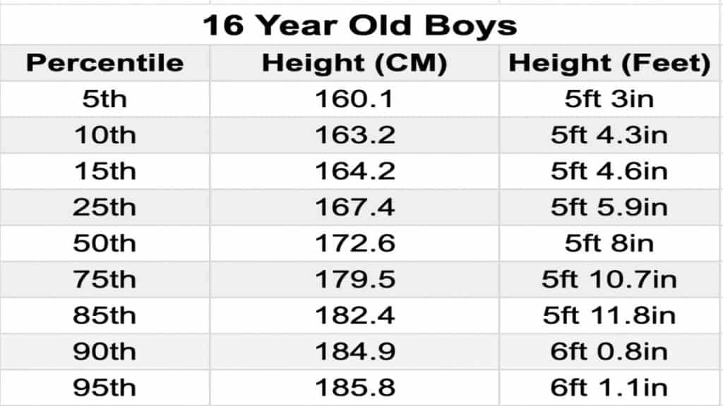 A chart showing the average 16 year old male height in feet and centimeters