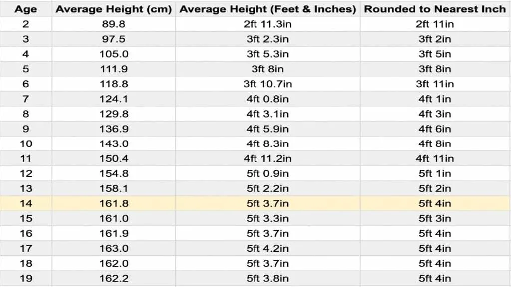 A chart displaying the average height for a 14 year old female in feet and centimeters