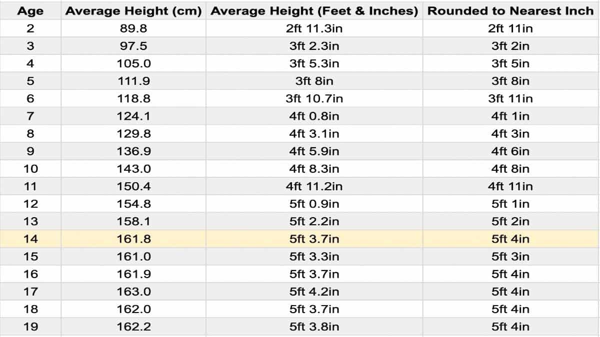 Average Height for a 14 Year Old Boy and a 14 Year Old Girl