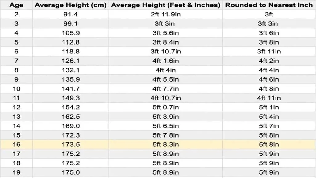 A chart showing the average height for a 16 year old boy in feet and centimeters