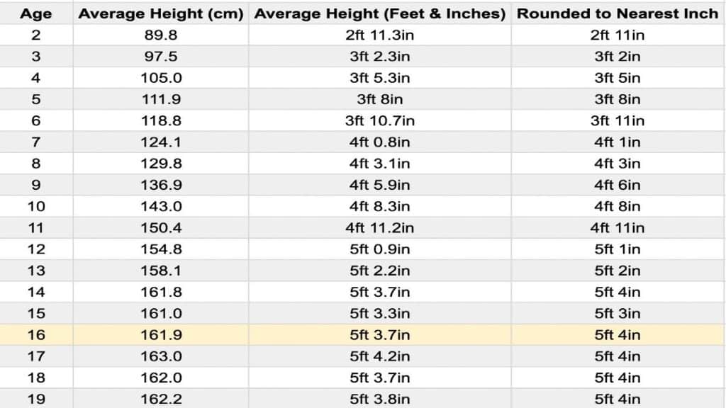 A chart displaying the average height for a 16 year old female in feet and centimeters