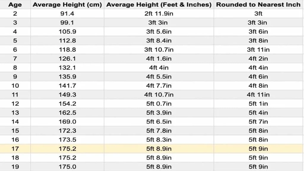 A chart showing the average height for a 17 year old male in feet