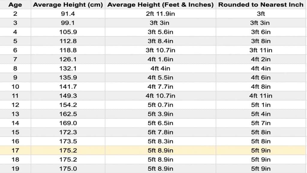 The Average Height For 17 Year Old Males And Females