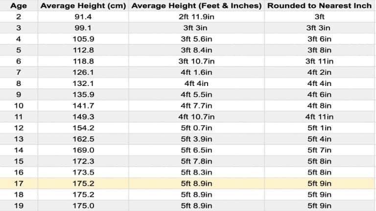 the-average-height-for-17-year-old-males-and-females