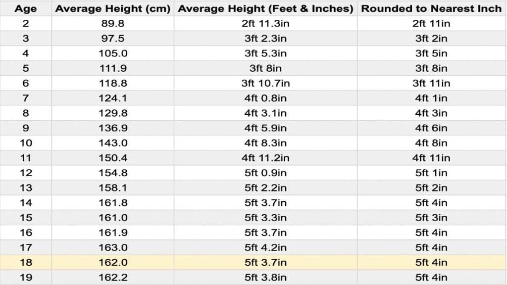 The Average 18 Year Old Height For Females And Males