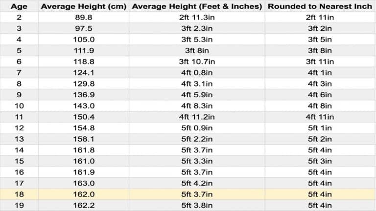 The Average 18 Year Old Height For Females And Males   Average Height For 18 Year Old Female 768x432 