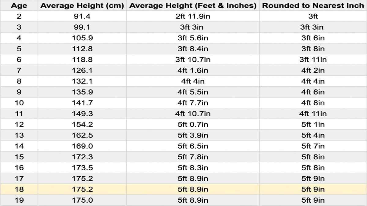 18 Year Old Height Weight Chart