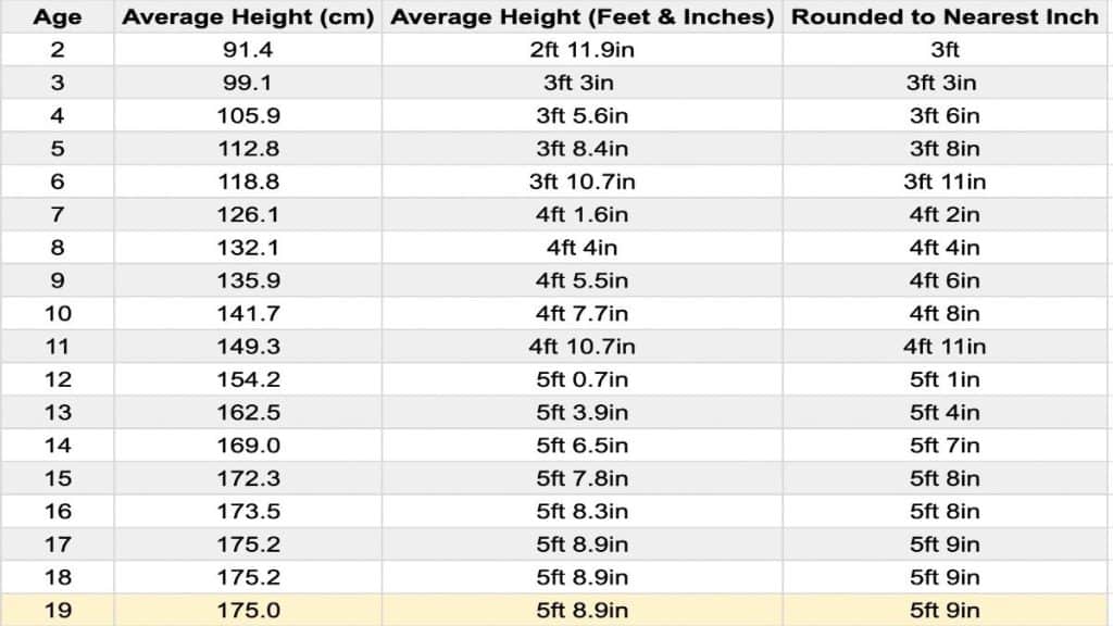 The Average Height for 19 Year Olds (Males and Females)