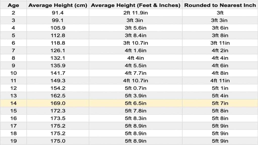 A chart showing the average height for a 14 year old boy in feet and centimeters