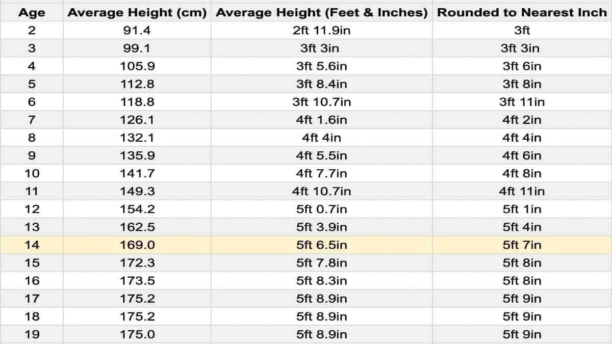 average-height-for-a-14-year-old-boy-and-a-14-year-old-girl